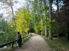 Promenade des Bords de L'Eure, Chartres - the trees